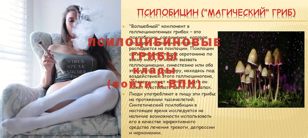 кокаин премиум Беломорск