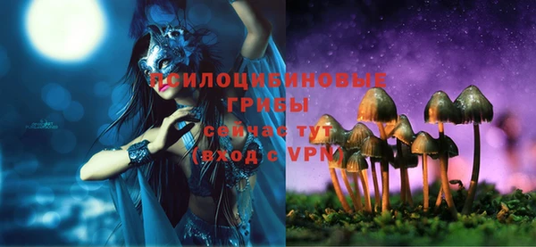 прущие крисы Белоозёрский