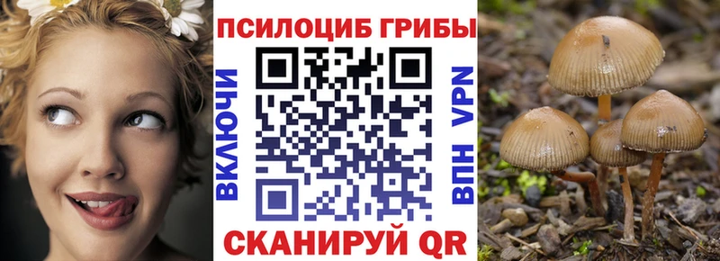 Галлюциногенные грибы мухоморы  наркотики  Гулькевичи 