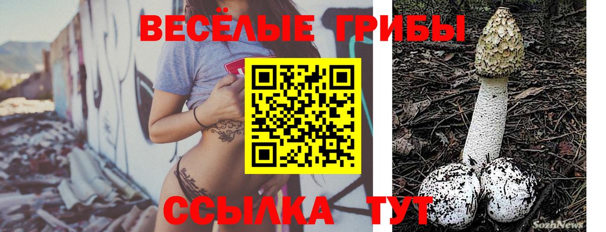 Галлюциногенные грибы MAGIC MUSHROOMS  Вход с VPN  Псилоцибиновые грибы ЛСД  Гулькевичи 